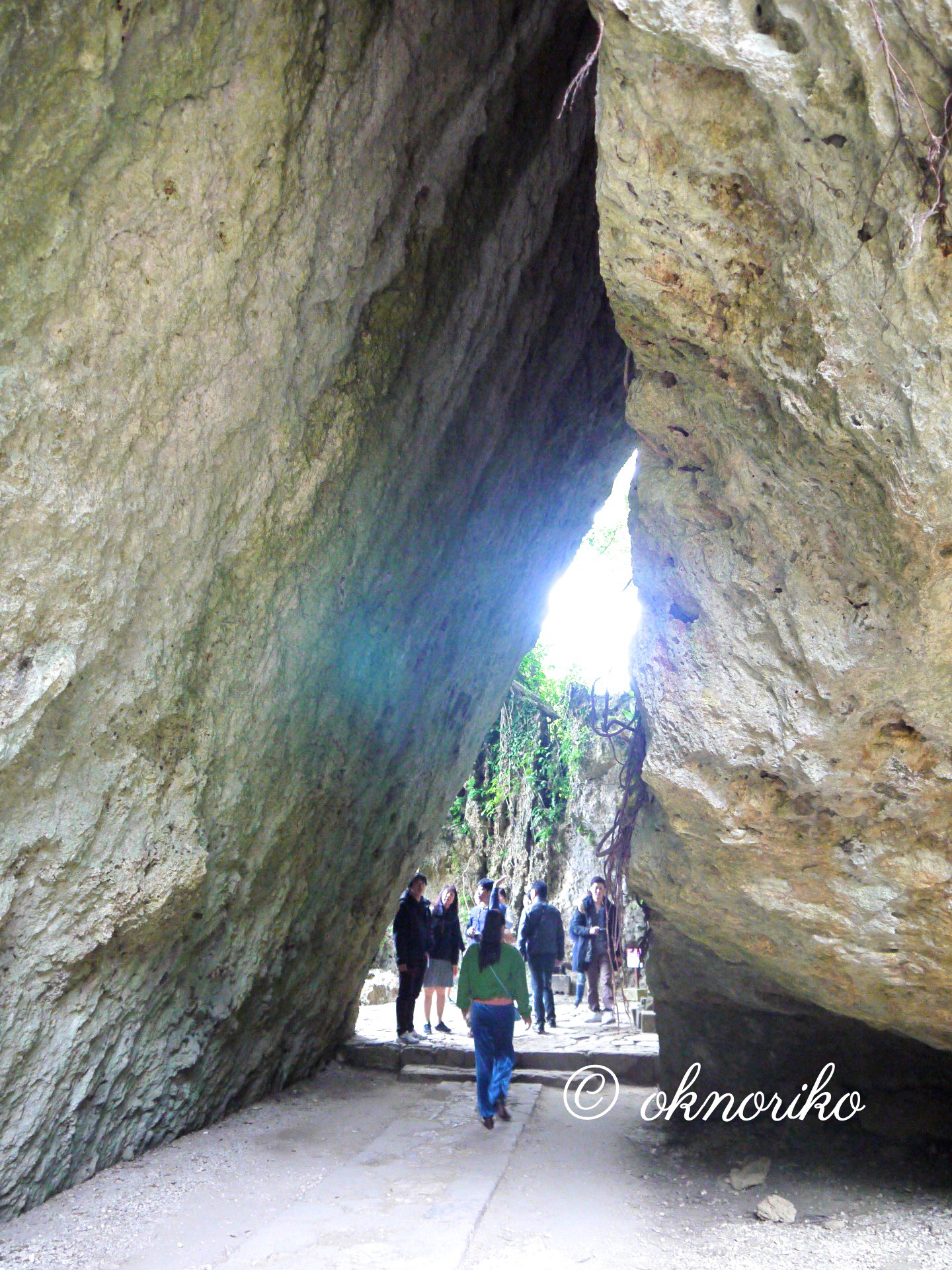 沖縄ー今帰仁城跡と斎場御獄 日本有数のパワースポット Bon Voyage
